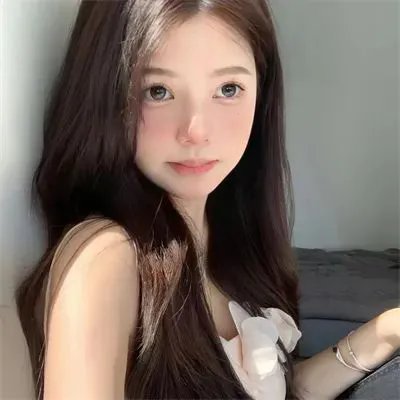 竹影远行物语265