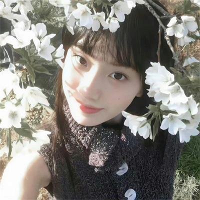 青山风云回廊1441